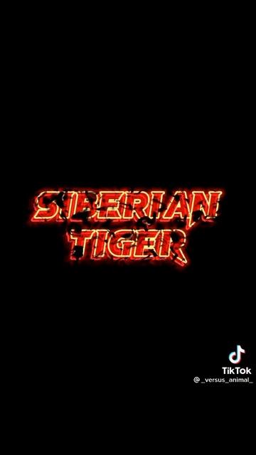 Лев царь а Тигр император