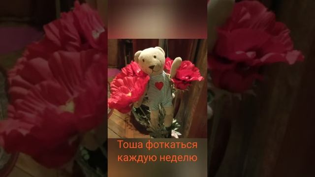 Факты про Тошу!Такого мы не ожидали 