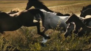 Далеко - далёко, ускакали молодые кони.  Видеоклип.