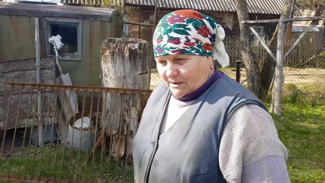 Медведь / Поиск / Расследование / Следом за ним Небошоу Небо шоу смотреть онлайн