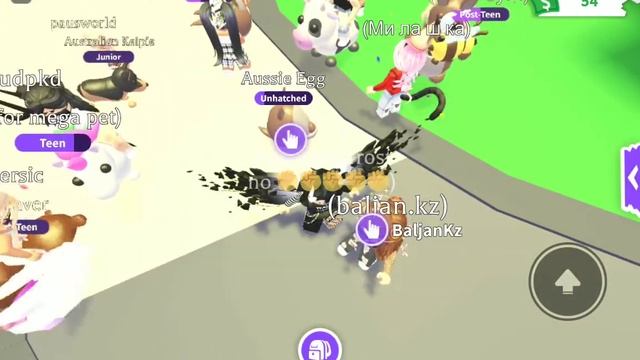 адапт ми обновления и тарифы смотреть онлайн