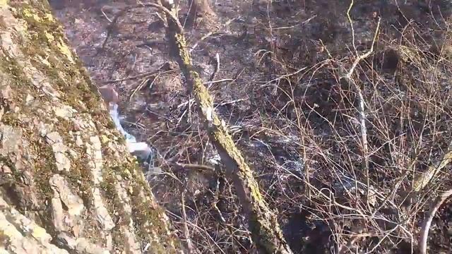 сИдой смотреть онлайн