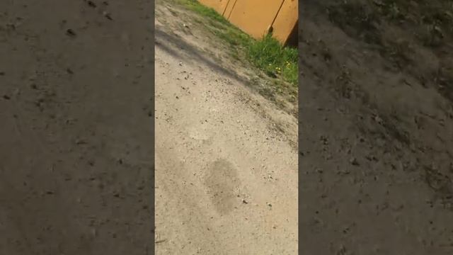 Микрорайон Призёрный смотреть онлайн