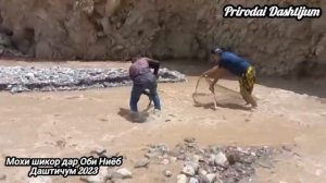 ТОП МОХИ ШИКОР ДАР ДАРЁИ НИЁБ 2023.ДАШТИЧУМ@prirodaidasticum