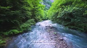 Сура 59 Собрание