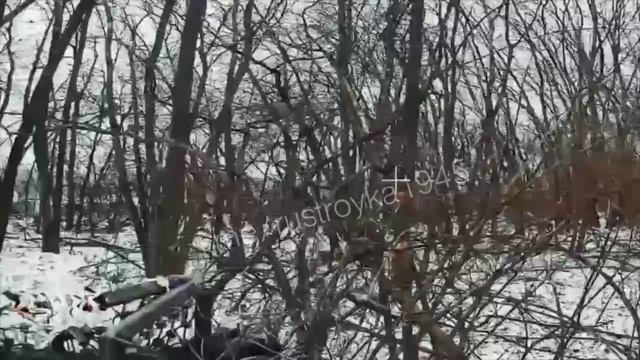 Разведчики 155 ОГвБрМП ТОФ под Курском уничтожают противника смотреть онлайн