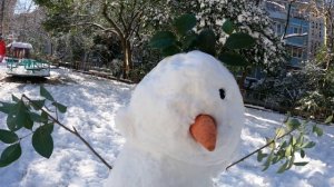 Снег  в Сочи радость для детей кошмар для водителей