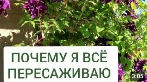 ПОЧЕМУ Я ВСЁ ПЕРЕСАЖИВАЮ. 27.05.2024г.