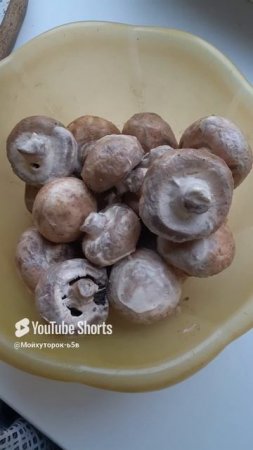 ГРИБОЧКИ СОБРАЛИСЬ НА УГЛИ!!Shorts