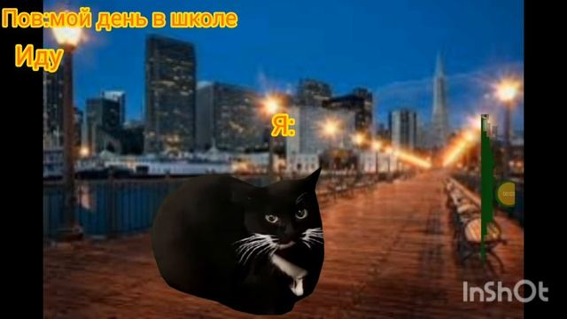 кошачья жизнь 1 серия 1 сезон смотреть онлайн