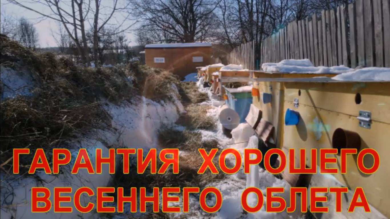 ГАРАНТИЯ ХОРОШЕГО ВЕСЕННЕГО ОБЛЕТА ПЧЕЛ. ВСЁ РАДИ ВЕСЕННЕГО ОБЛЁТА ПЧЁЛ. смотреть онлайн