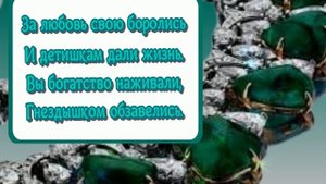 23 года – Берилловая свадьба 💖Музыкальное ПОЗДРАВЛЕНИЕ для друзей