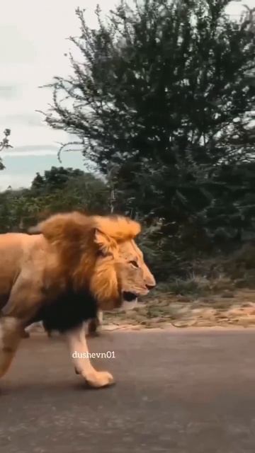 29 марта 2023 г. смотреть онлайн