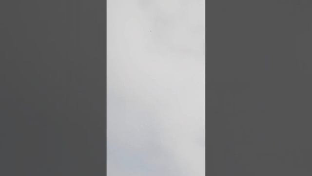 Неудачная атака сапсана смотреть онлайн