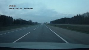 Лось перебегает дорогу.