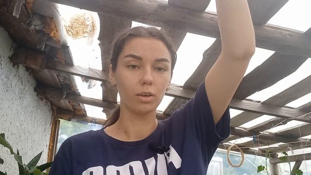 Опадают и желтеют завязи на огурцах. Что делать? смотреть онлайн