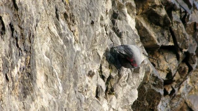 Rotskruiper 5 1 15 смотреть онлайн