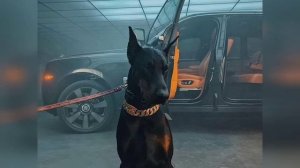 Скриптонит - Не забирай меня с пати