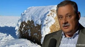 Дмитрий Евстафьев. Три недели...