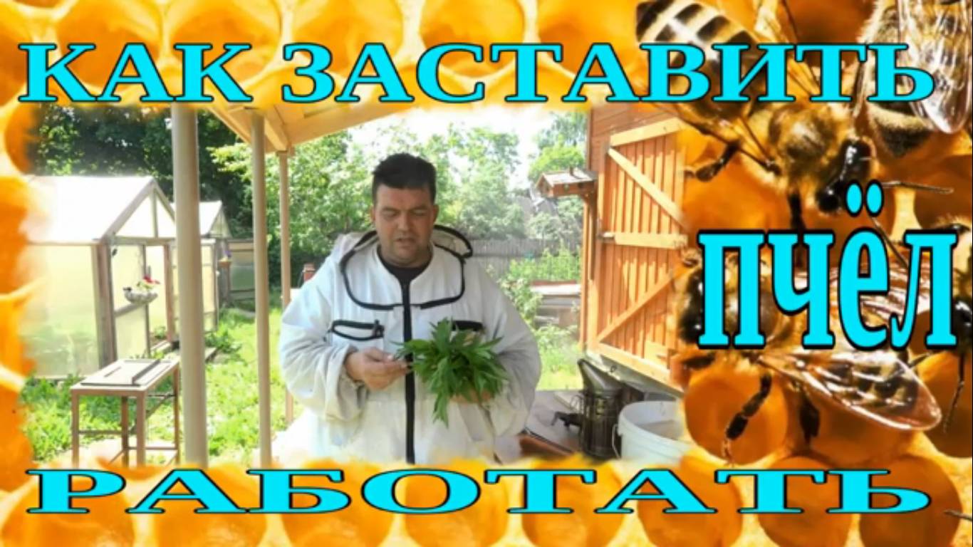 КАК ЗАСТАВИТЬ ПЧЁЛ РАБОТАТЬ. АКТИВИЗАЦИЯ МЕДОСБОРА смотреть онлайн