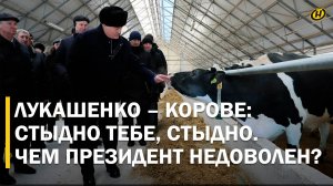 Лукашенко: ПОКАЗУХОЙ ЗАНИМАЕТЕСЬ, НЕ ДОРАБАТЫВАЕТЕ!/ Чиновники вздрогнули от слов Президента