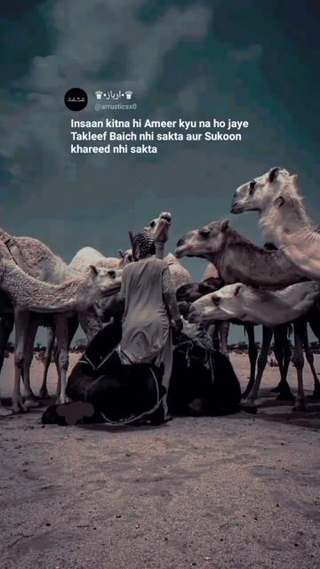 #islamituindah #islamicquote #namaz #islamicart #pakistan #subhanallah #muslims # #muslimquotes