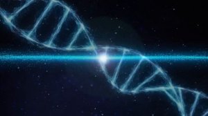 ИСЦЕЛЕНИЕ Всего Организма и Регенерация Тела Мощная Матрица Гаряева