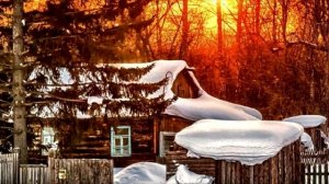 Бандиты напали на деда в лесу, не подозревая что он был не один. ШОКИРУЮЩЕЕ ВИДЕО!