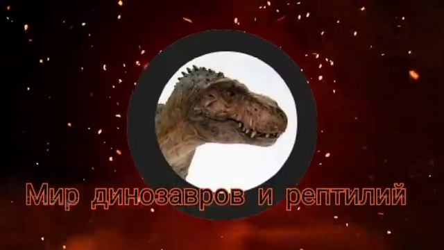 Интро моего канала 
