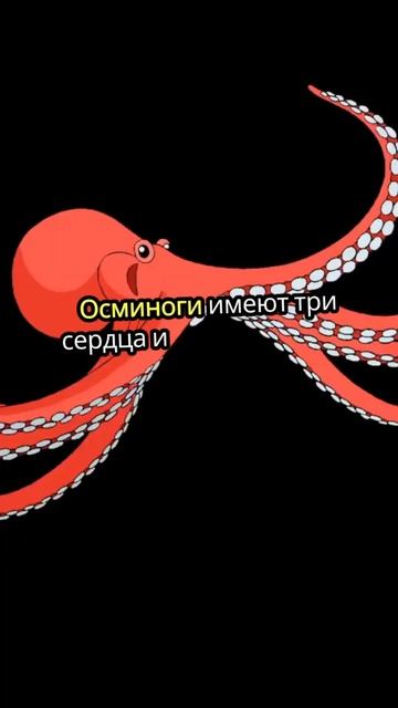 Погрузитесь в мир морских чудес! 🌊🐙🐋#Море #Факты #МорскиеОбитатели #ИнтересныеФакты #природа смотреть онлайн