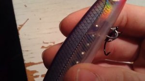 New Rapala Shadow Rap close up