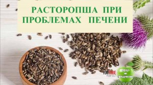 Расторопша при проблемах печени