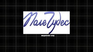 самая долгая игра поле чудес финальная часть