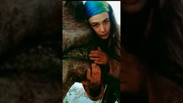 The Fight for the Redwoods смотреть онлайн