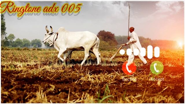 HAL Chalya Tuna Kasa Koy La Gya Ga!! Ringtone !!! Ringtone adx 005 song смотреть онлайн