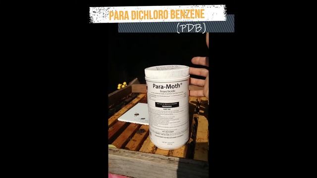 Controlling Wax Moths with Crystals or Larvicide