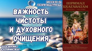 Важность чистоты и духовного очищения. Лалита Мадхури дд. ШБ 6.16.44–46