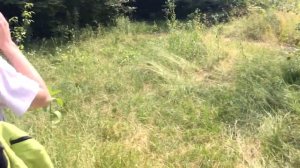 Обзор на лагерь Ленинец