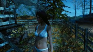 Fallout 4 моды