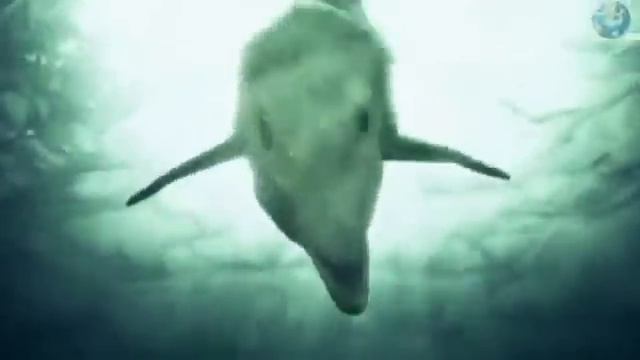 Dinosaur Revolution Mosasaur Rampage YouTube смотреть онлайн