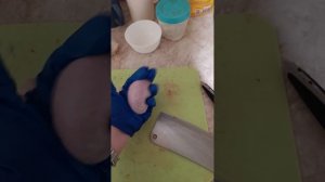 половые органы коня