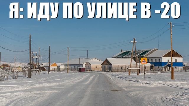 Я иду по улице зимой