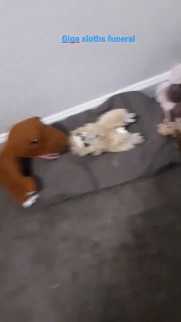 :( his funeral  giga sloth passed смотреть онлайн