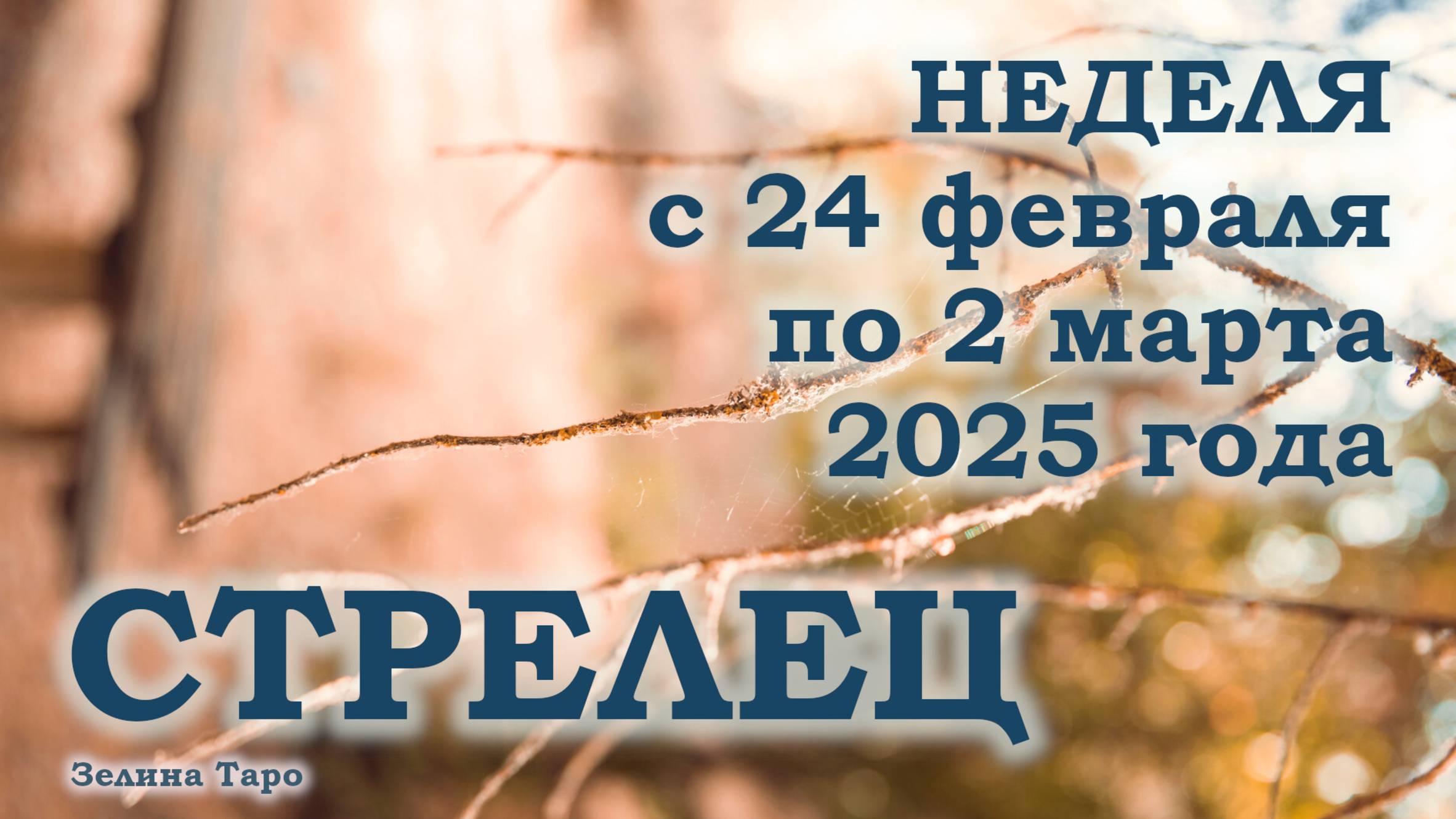СТРЕЛЕЦ | ТАРО прогноз на неделю с 24 февраля по 2 марта 2025 года