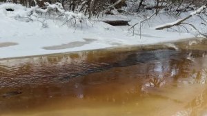 Речка Чёрная, Дибуны 22.02.2025