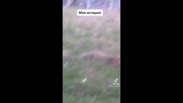 Прикольные видео тик-ток часть 3 смотреть онлайн