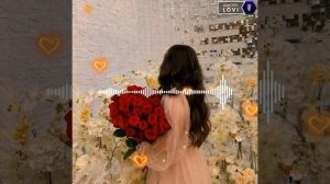 Alisher Zokirov istamadi bu Yurak