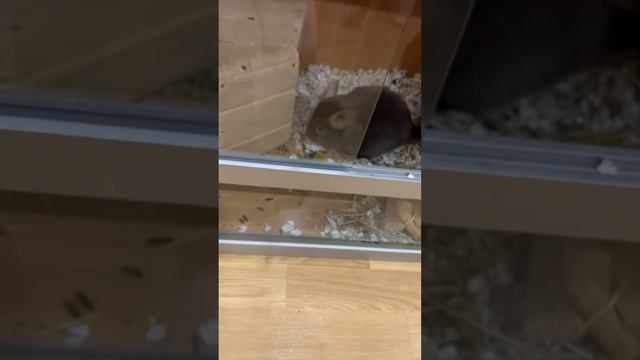 9 июля 2023 г. смотреть онлайн