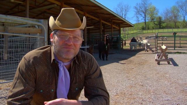 Meet The Cleverlys - Alpaca смотреть онлайн