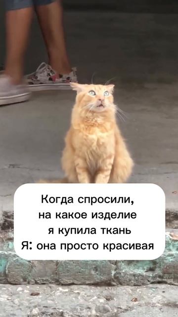 В Studio LosCut самые красивые ткани на любое изделие и для просто так 